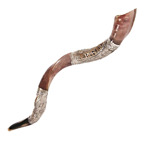 Silver plated kudu horn shofar, large Yemenite curve
 Silver plated kudu horn shofar, large Yemenite curve