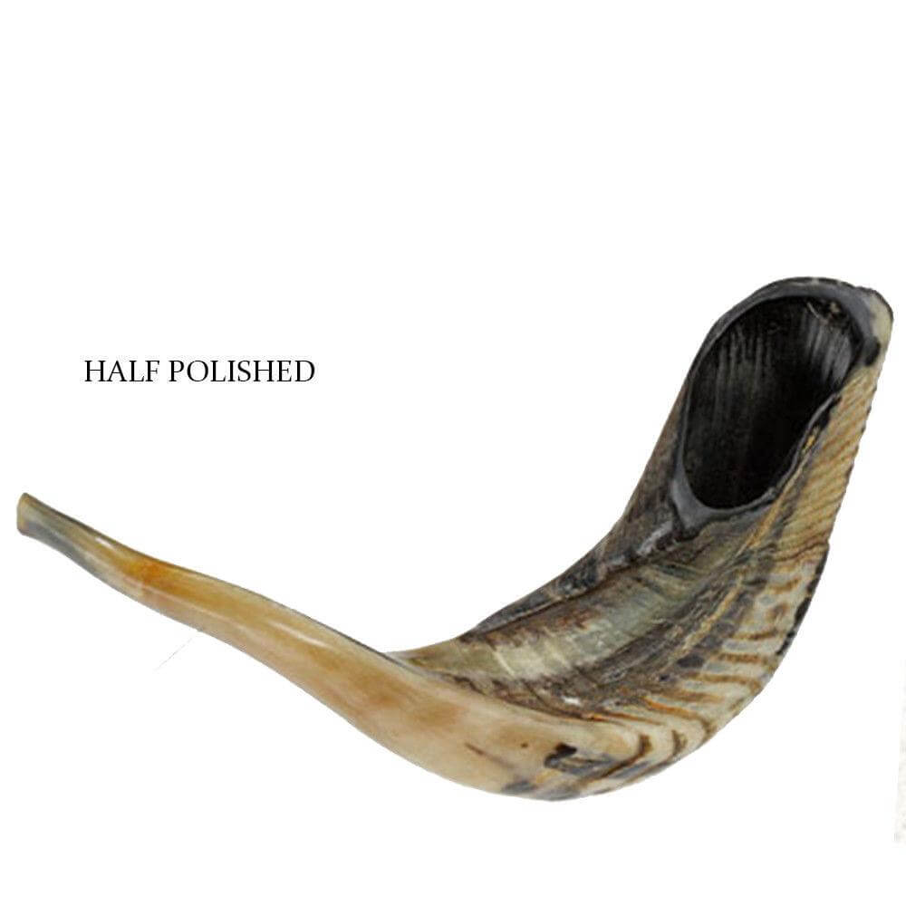 jerusalem style ram shofar, kosher ceremonial horn
 jerusalem style ram shofar, kosher ceremonial horn
