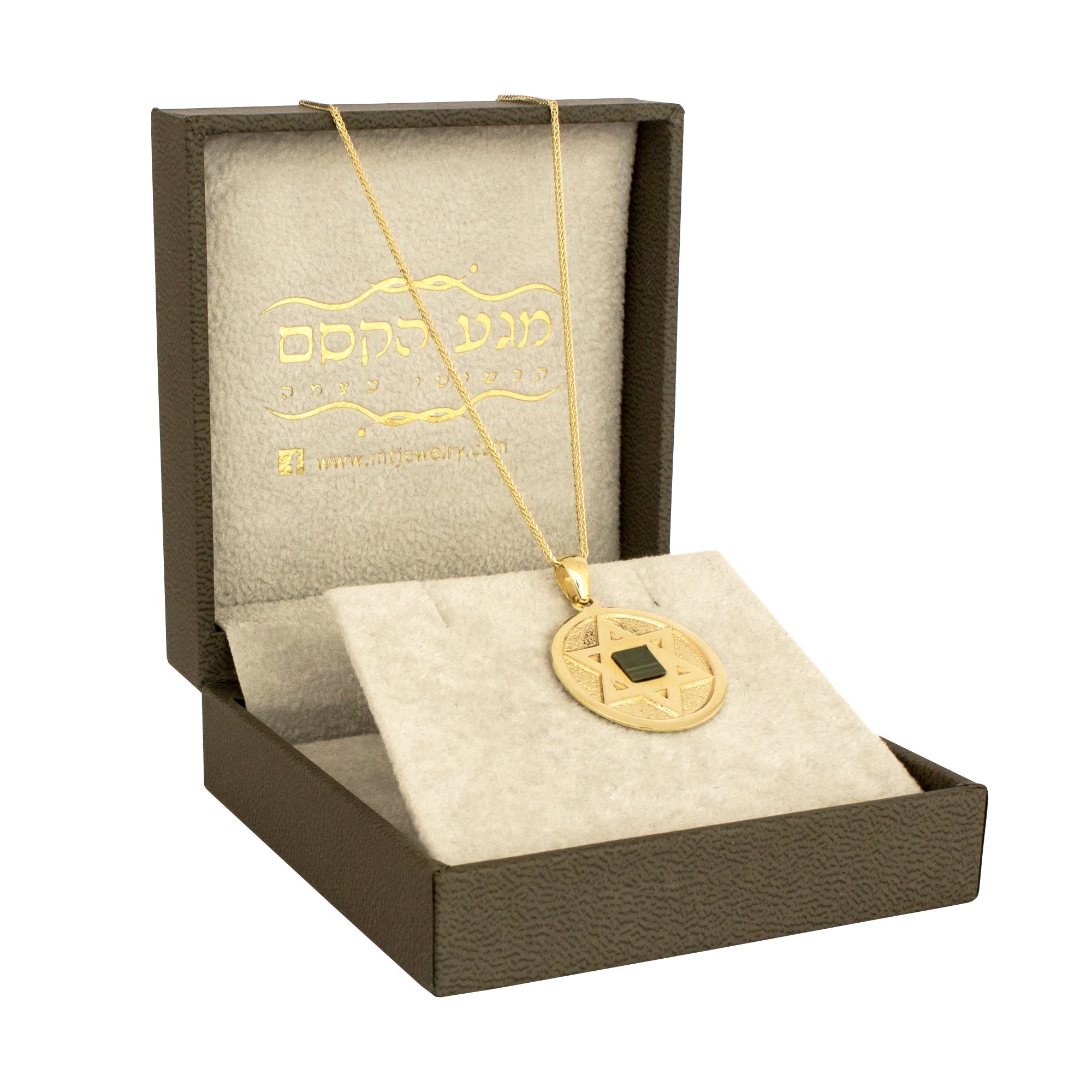 Round Pendant w/ Star of Magen David Nano Sim Gold 14K from Holy Land