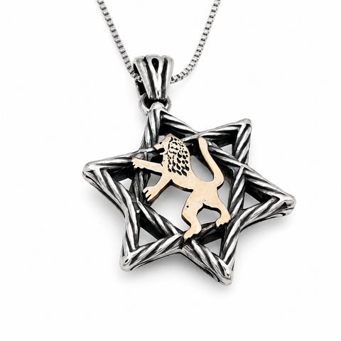 Star of David Necklace Gold 9K Lion of Judah Silver Pendant Jerusalem