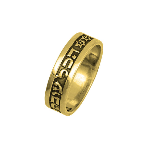 King Solomon's Ring Engraved And This Too Shall Pass Sterling Silver Amulet (6-13 size)