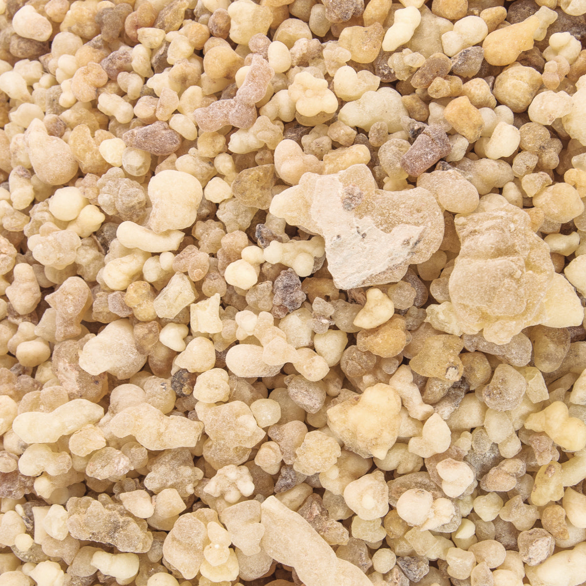 Pure 100% Natural Frankincense Resin Tears Incense Burner Jerusalem 3.5oz / 100g