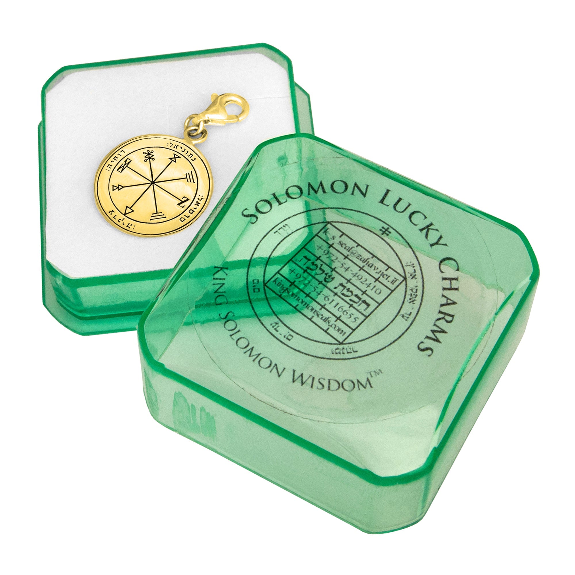 Profusion Seal Pendant Kabbalah King Solomon Pendant Carabin Silver 925 Ø 0,6"