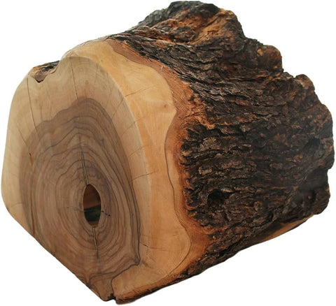 Holy Family in Bark Grotto 6" Olive Wood Nativity Set from Bethlehem