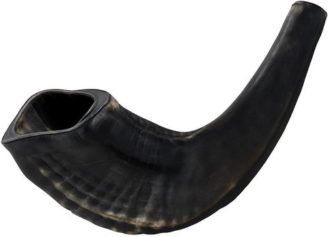 Kosher Ram Horn Shofar from Israel 11" – Polished Black Rosh Hashanah & Yom Kippur
