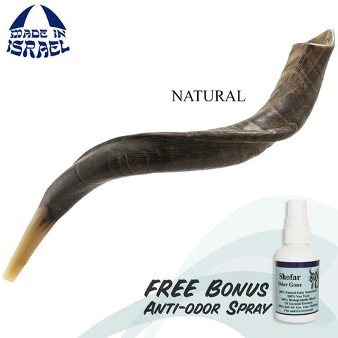 Kudu shofar online store, Jerusalem shofar for worship