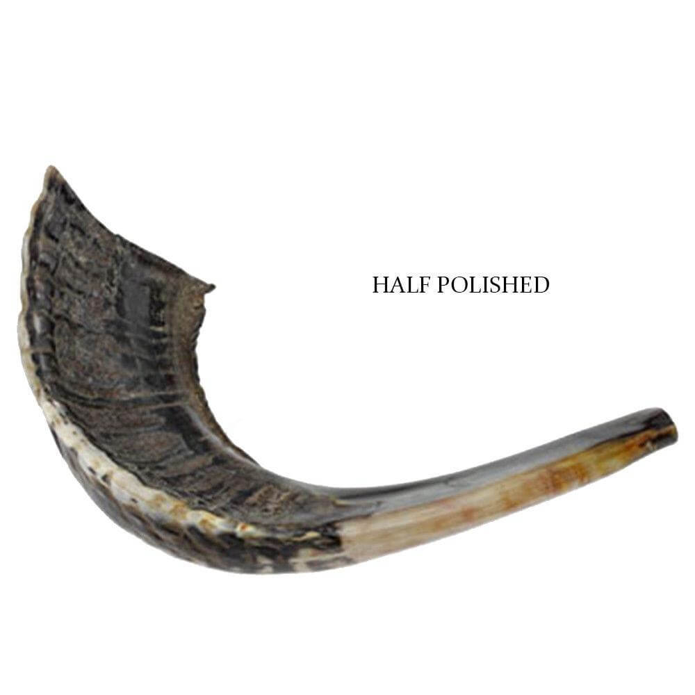 authentic ram shofar crafted in Israel
