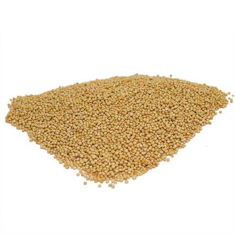 buy organic ground mustard spice from Israel online
