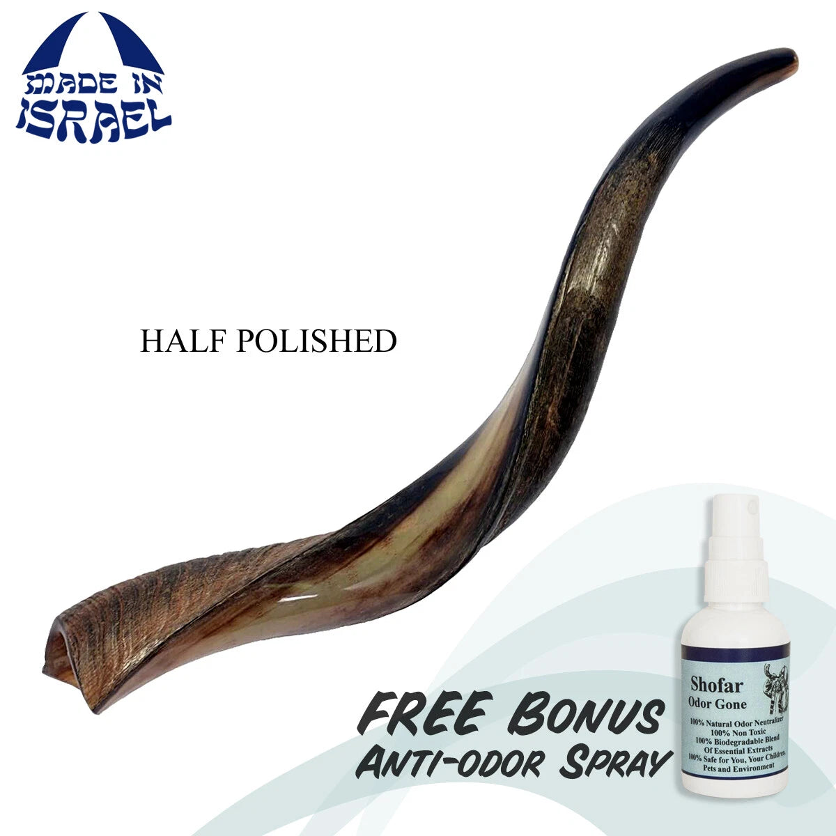 Buy yemenite kudu shofar gift with resonant blasts
