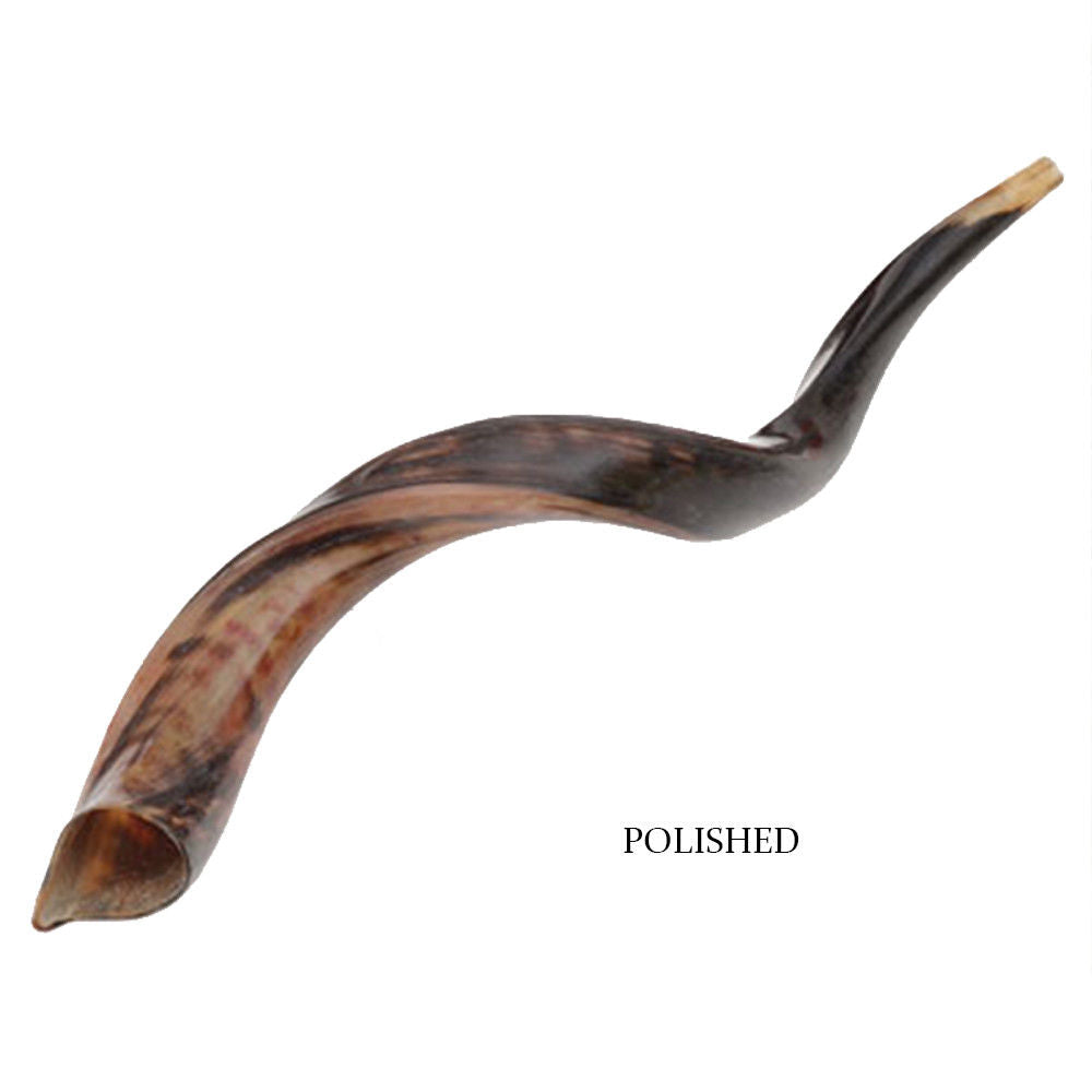 traditional kudu shofar — deep call for rosh hashanah shofar
