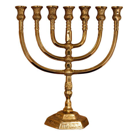 glossy gold brass seven branch menorah with star of david
