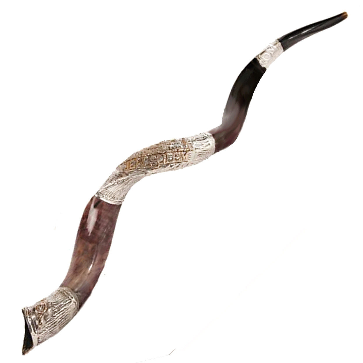 Traditional silver plated shofar Judaica with rich Yemenite tone
