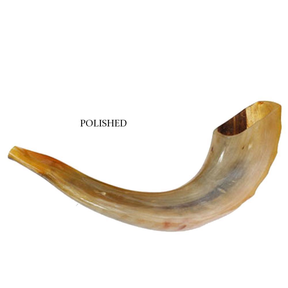 traditional ram shofar for Rosh Hashanah blowing
