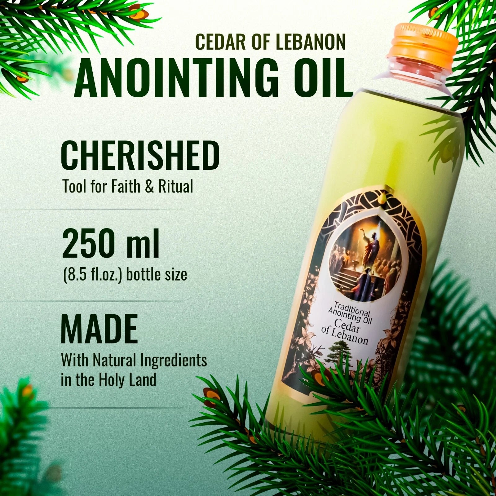 biblical cedar of lebanon oil