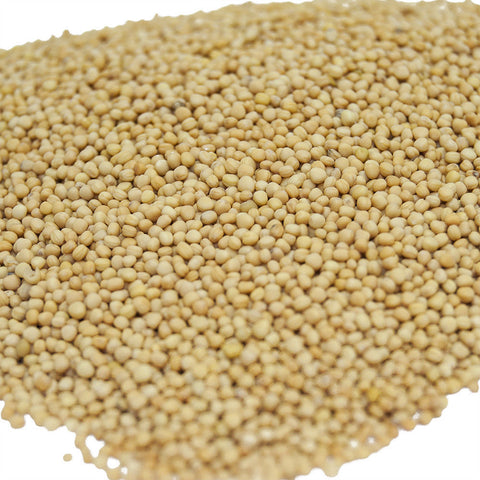 Organic Spice Ground Mustard grains Herbs Flavor Israel Seasoning 