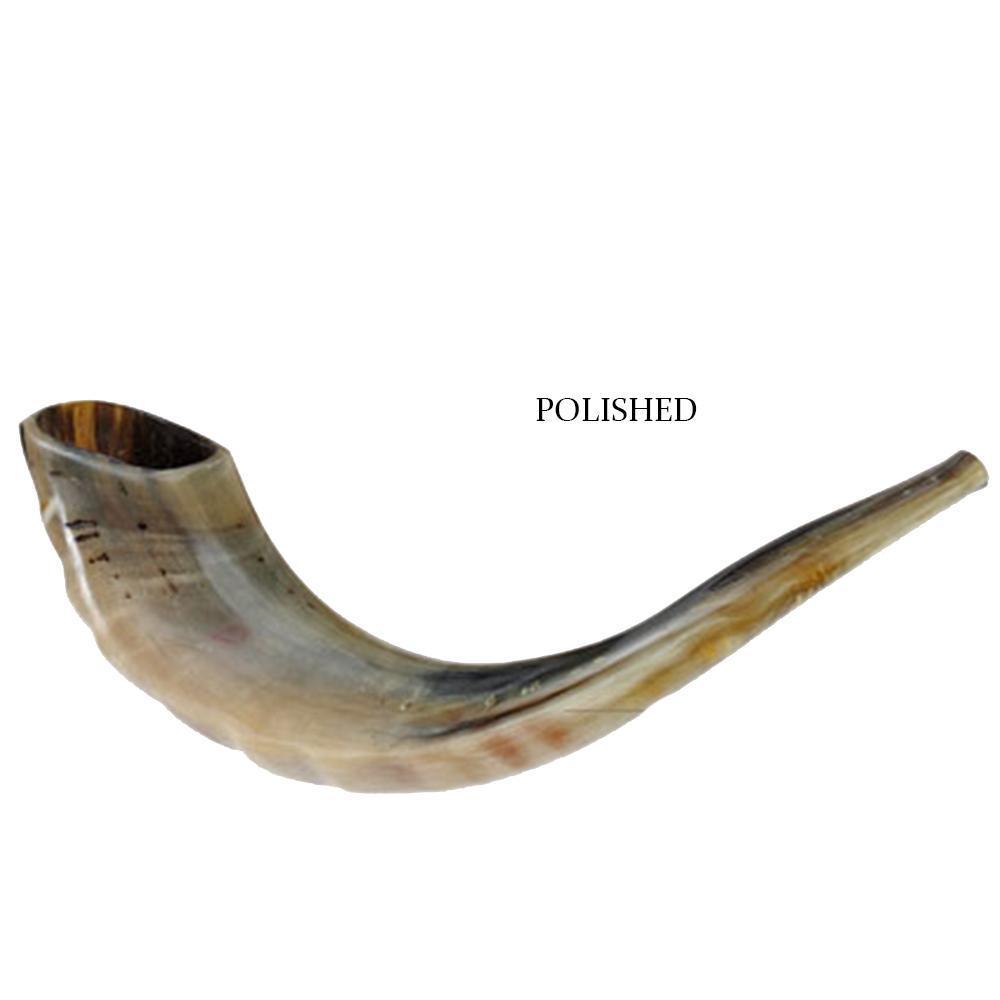 kosher ram horn shofar, Holy Land Judaica
