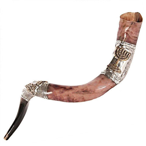 Silver plated kudu horn shofar, Jerusalem style for Rosh Hashanah
