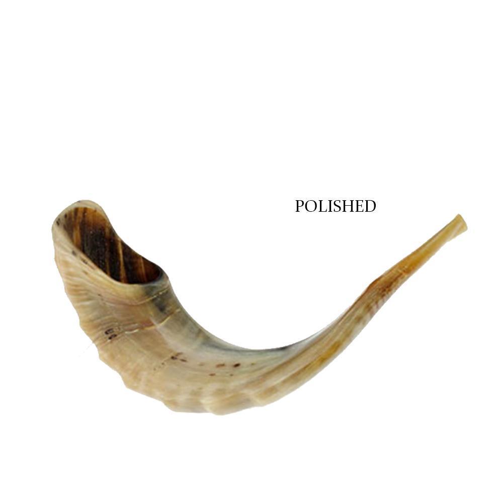 ram shofar gift, Jerusalem shofar, Israel Judaica
