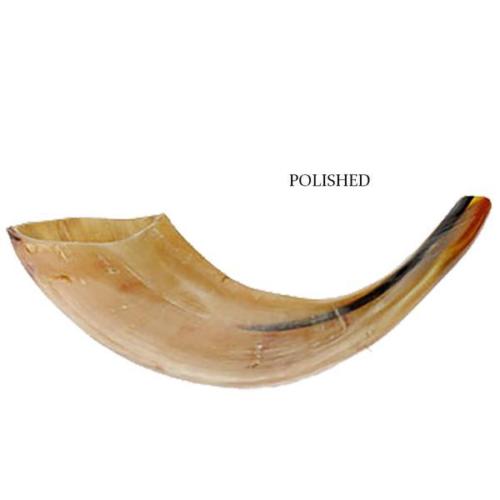 Ram shofar from Jerusalem, Rosh Hashanah shofar
