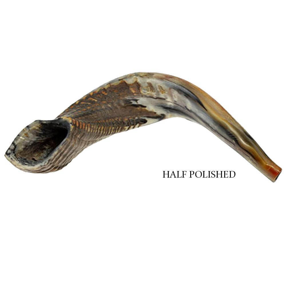 ram shofar kosher, half-polished Holy Land Judaica
