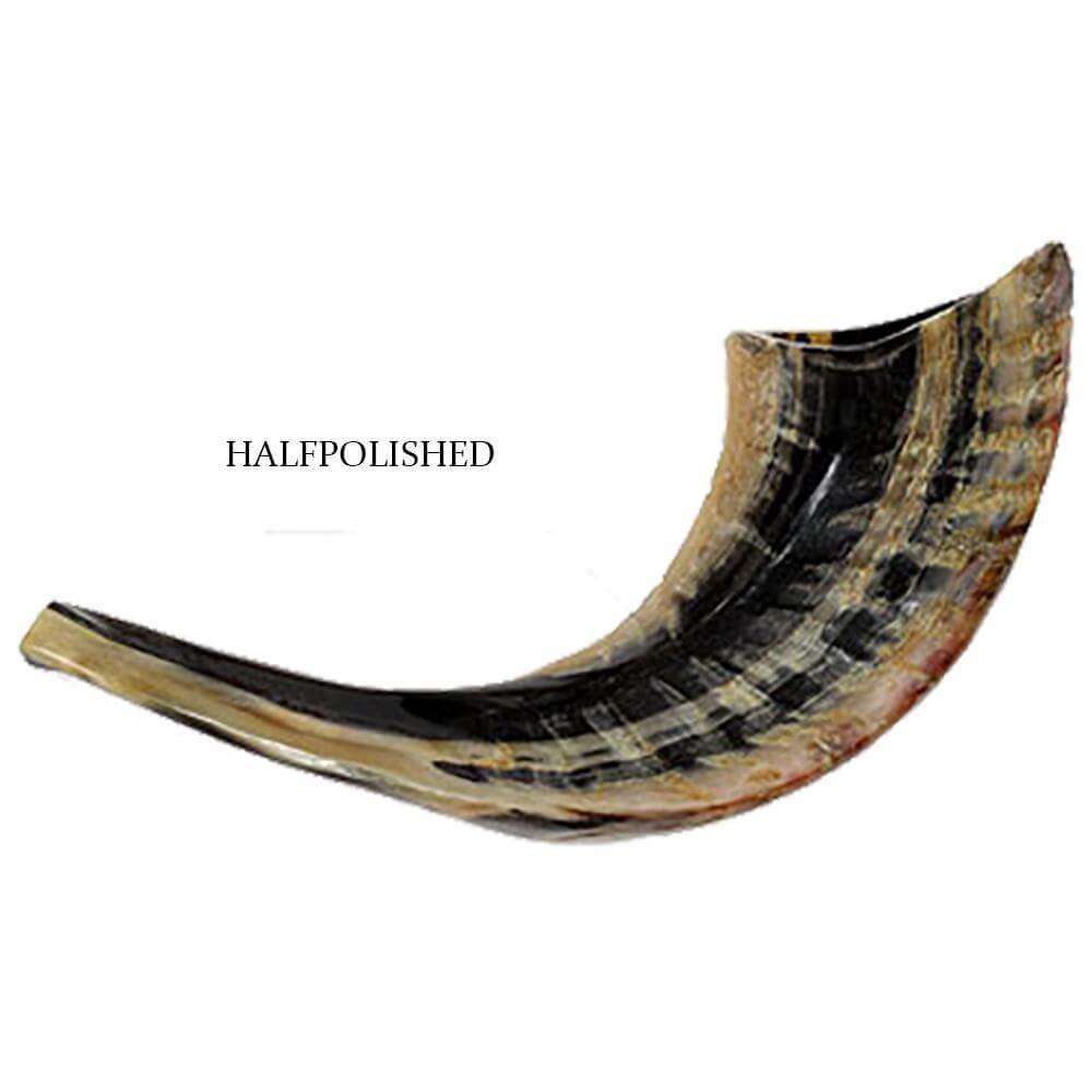  ram horn shofar, kosher tone, Holy Land Judaica
