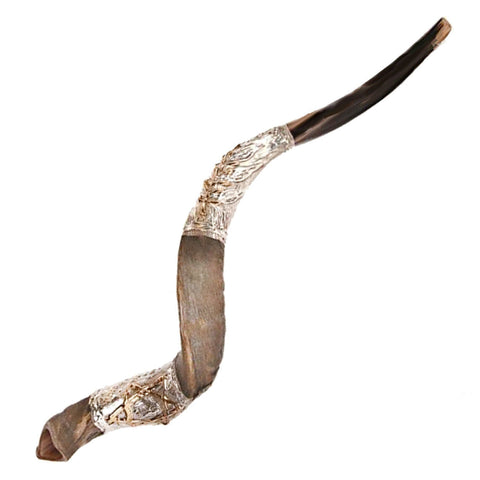 silver plated kudu horn shofar from Jerusalem Judaica
