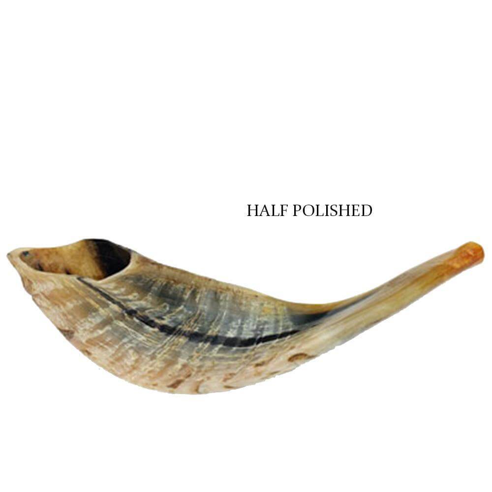 natural ram horn shofar for synagogue and home rituals
