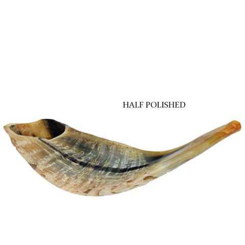 natural ram horn shofar for synagogue and home rituals
