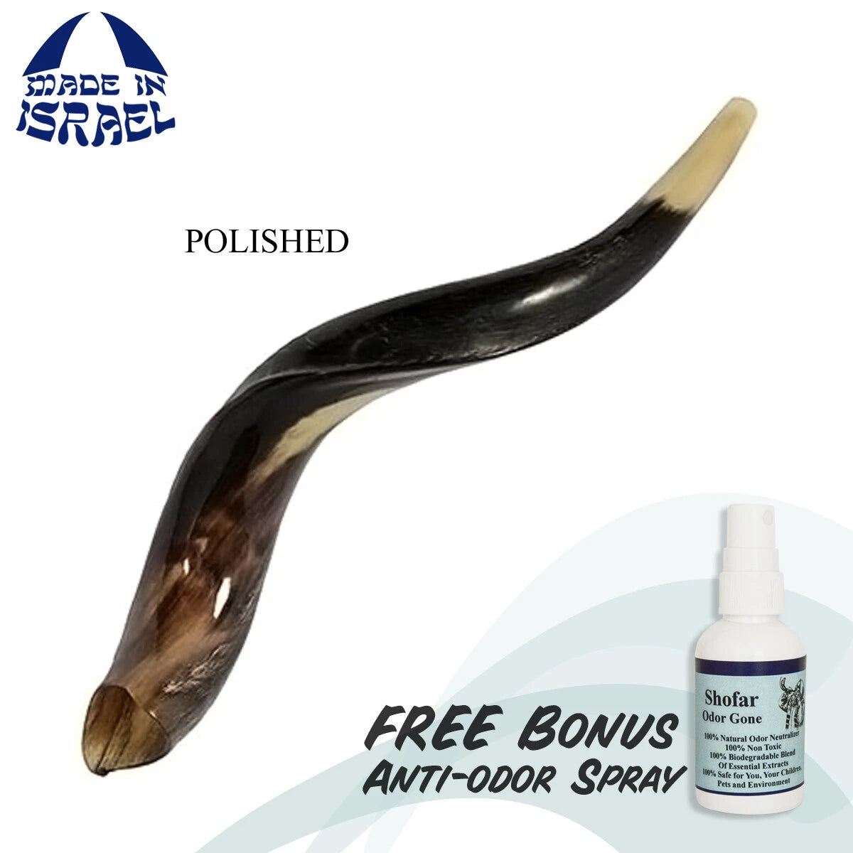 order kudu shofar horn with plated tip, ideal judaica gift
