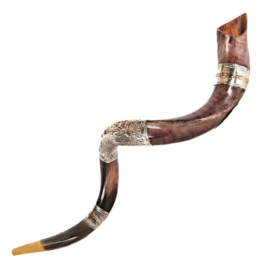 silver plated shofar horn for Rosh Hashanah celebration
