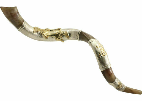 Silver Plated Kudu Yemenite Kosher Shofar The Lion Of Judah 122cm-127cm-2