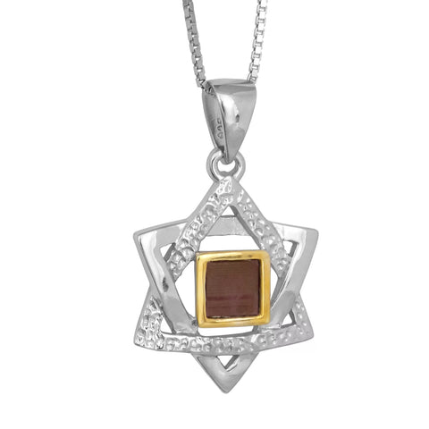 Pendant Magen David Sterling Silver & Gold9K Nano Sim Old Jewish Bible TANAKH