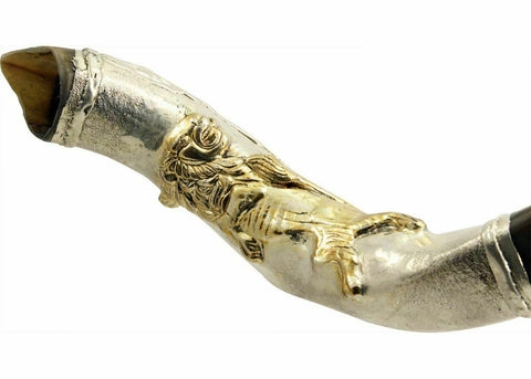 Silver Plated Kudu Yemenite Kosher Shofar The Lion Of Judah 122cm-127cm-4