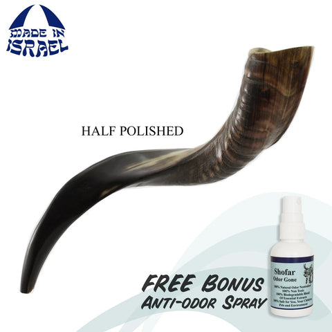 Kudu Horn Shofar, Half-Polished Finish — Order from Israel
