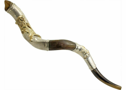 Silver Plated Kudu Yemenite Kosher Shofar The Lion Of Judah 122cm-127cm