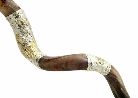 Silver Plated Kudu Yemenite Kosher Shofar Blowing The 122cm-127cm Israel-2