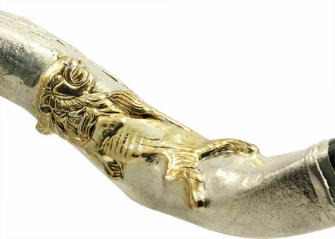 Silver Plated Kudu Yemenite Kosher Shofar The Lion Of Judah 122cm-127cm-1