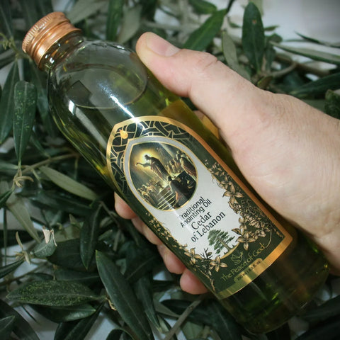 Essential Anointing Oil Cedar of Lebanon 250 ml – Spiritual Purity from the Holy Land