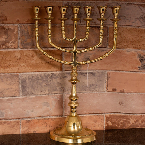 seven branch menorah with star of david and 12 tribes motif
