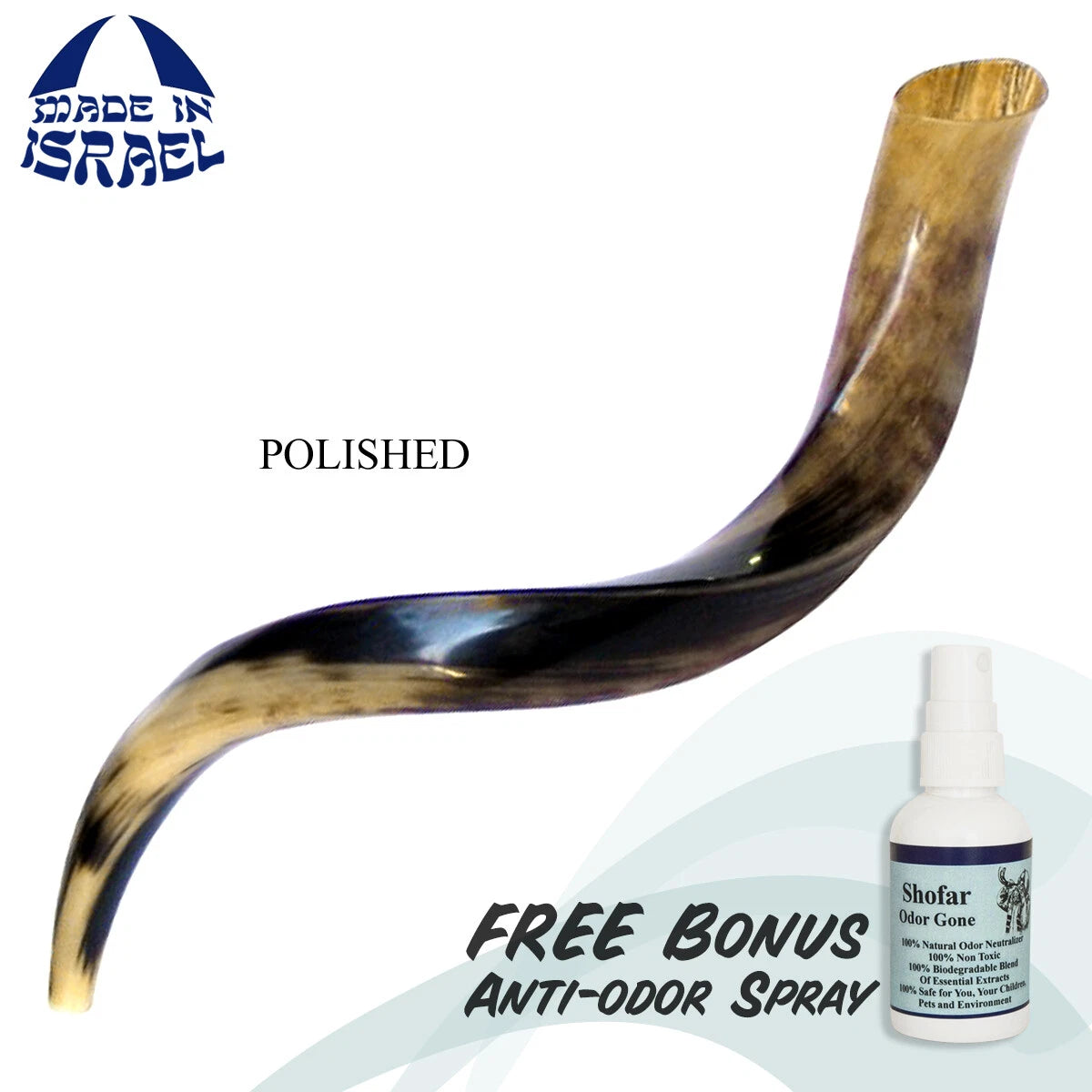 buy authentic kudu horn shofar from Israel

