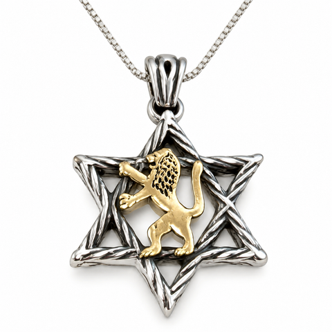 Sterling silver Star of David pendant with twisted openwork frame, gold lion figure in the center, polished bail and chain on a clean white background