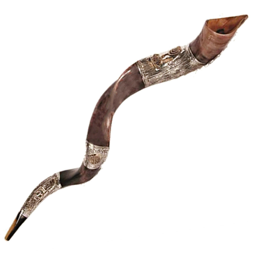 Silver plated shofar Judaica for synagogue and home ritual

