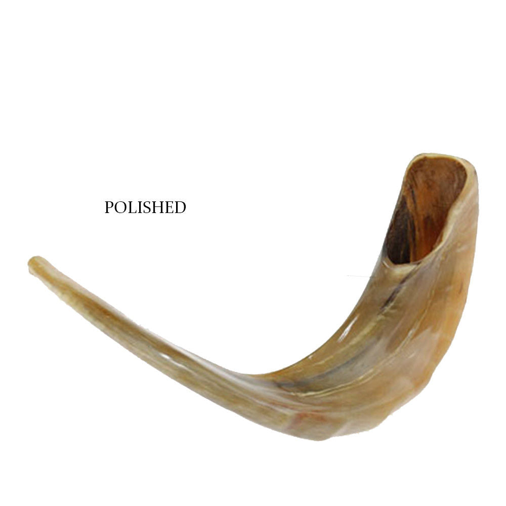 order ram shofar for synagogue rituals
