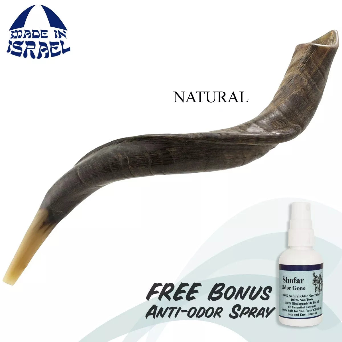 Traditional kudu shofar for services, deep resonant call
