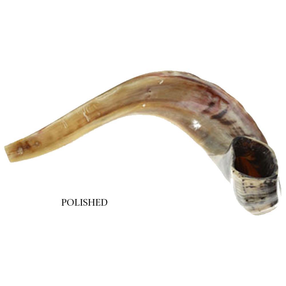 Traditional ram shofar, clear tone for Rosh Hashanah
