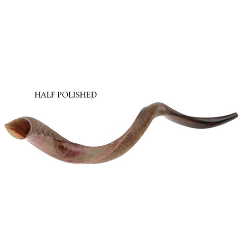 Yemenite kudu horn shofar with deep Jerusalem tone
