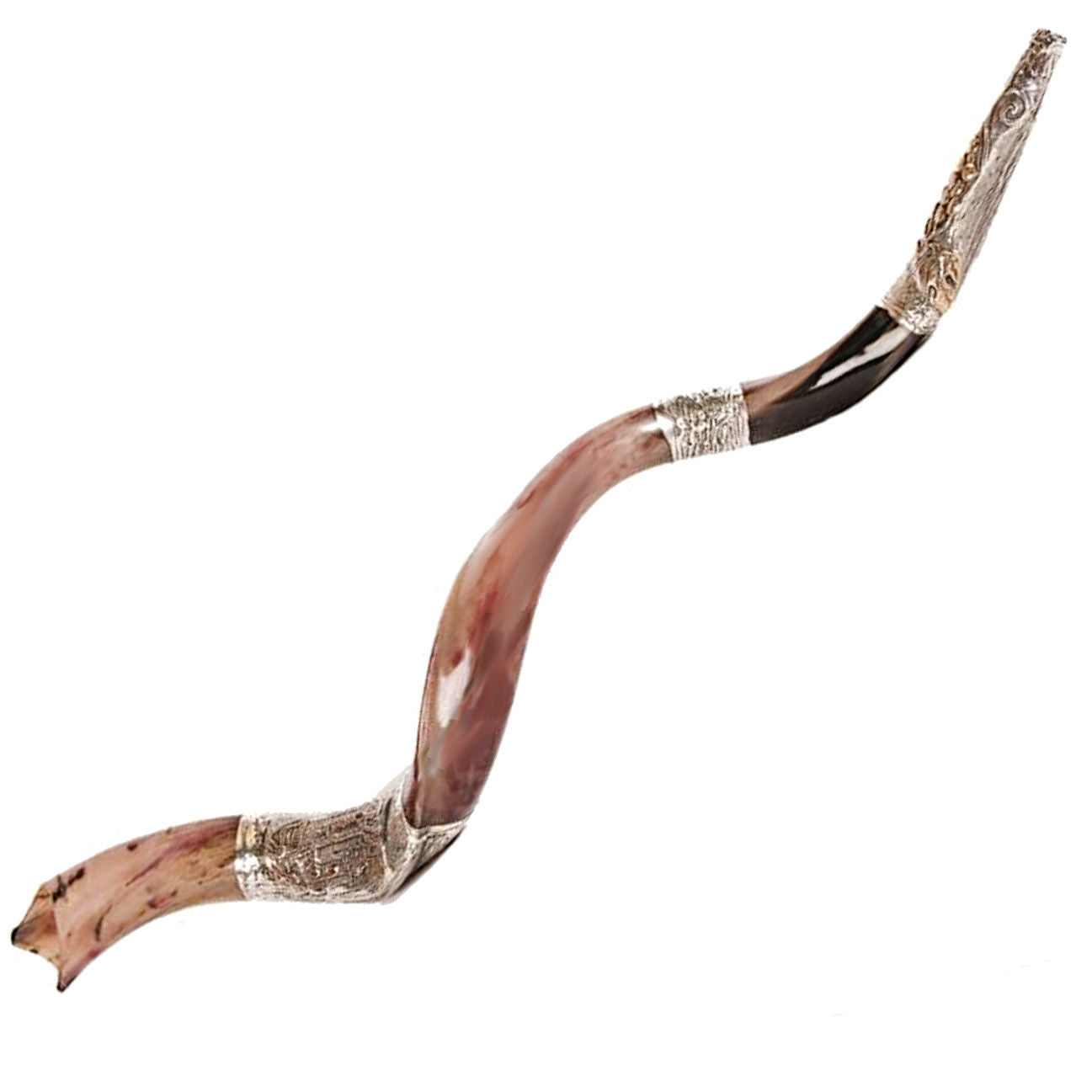 traditional silver plated shofar Jewish festival horn
