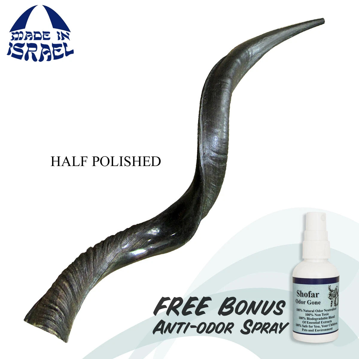 Yemenite kudu horn shofar with deep Jerusalem tone