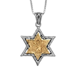 Кулон в форме Звезды Давида Лев Иуды из серебра 925 пробы и золота 9К